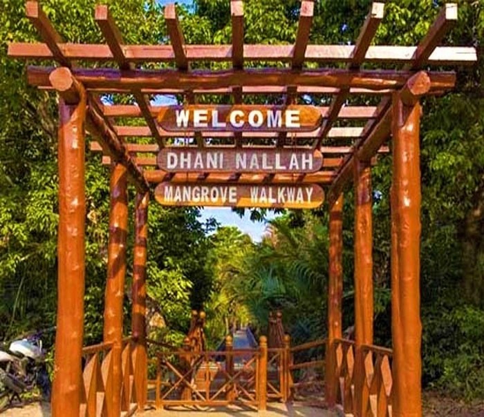 Dhani Nallah Mangrove Walkway